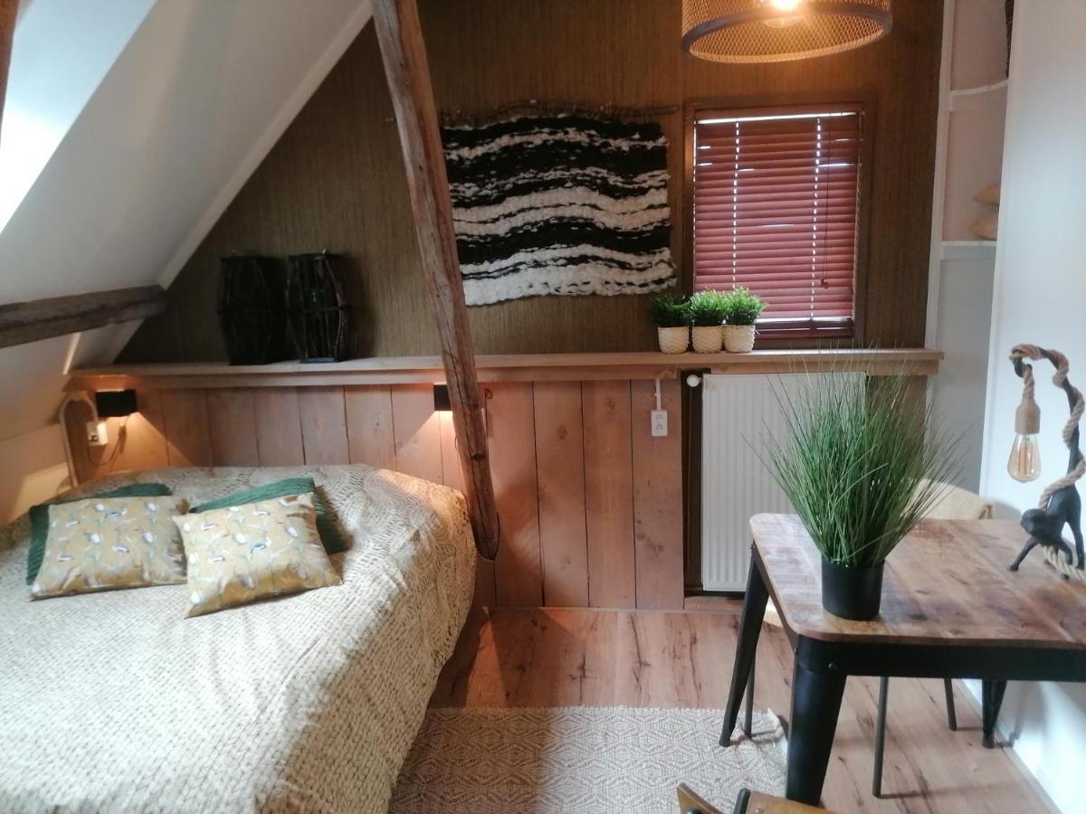杜斯耶住宿加早餐旅馆 Warfstermolen 外观 照片